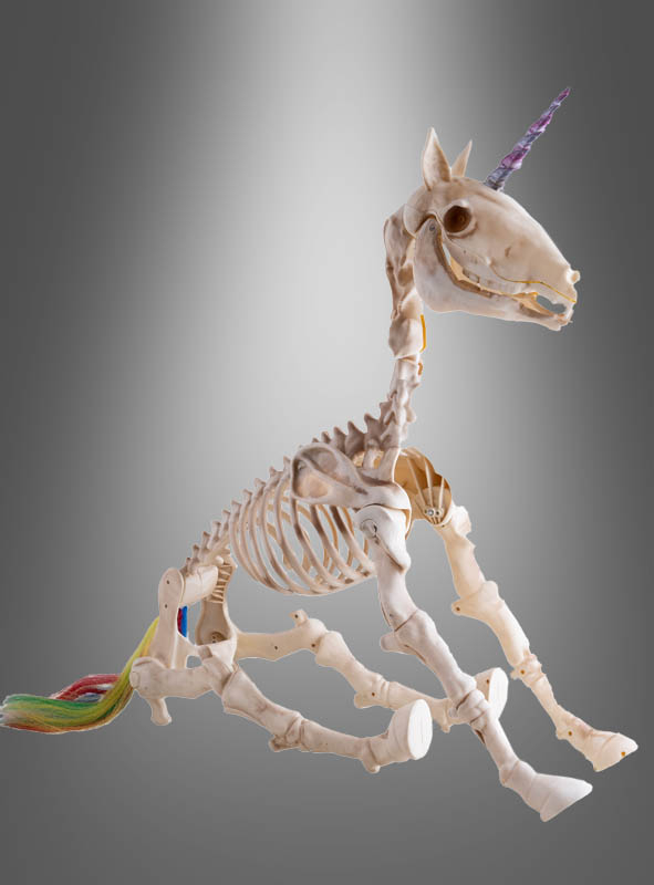 Unicorn Skeleton with Light and Sound 