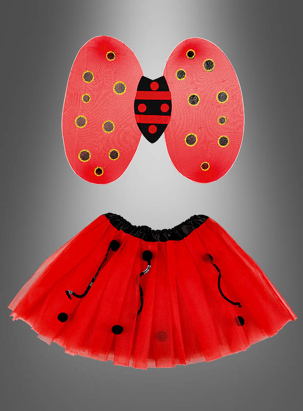 Ladybug Wings Set for Children 