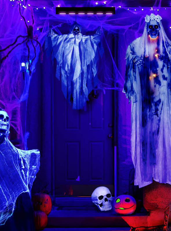 UV Black Light Lamp with 6 LEDs 