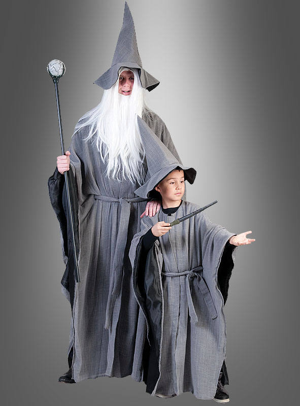 Grey Wise Wizard 