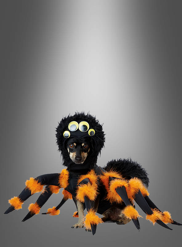 Hundekostüm Spinne bei Kostuempalast.de kaufen