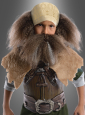 Dwalin Kinderkostüm aus Der Hobbit 