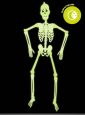 Nachtleuchtendes Skelett 90cm Halloweendeko 