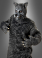 Big Bad Wolf costume 