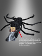Springende Spinne 70x50cm animiert 