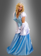 Ginderella Fun Costume 