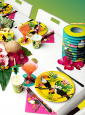 Summer party paper tableware set toucans 