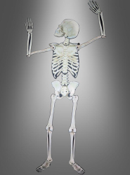 Product image 3 of the product “Skeleton Wall Decoration 158cm ”