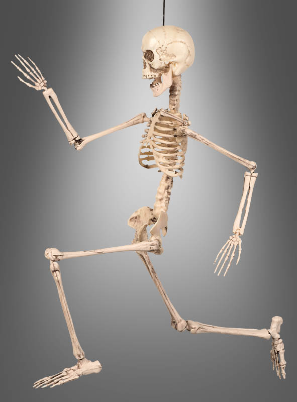 Bewegliches Skelett Deko zum Aufhängen 
