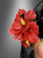 Hawaii Blumen Haarschmuck 