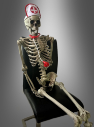 Product image 4 of the product “Life-Size Human Skeleton 160cm ”