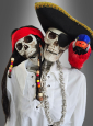 Skeleton life-size 153cm with two Heads 