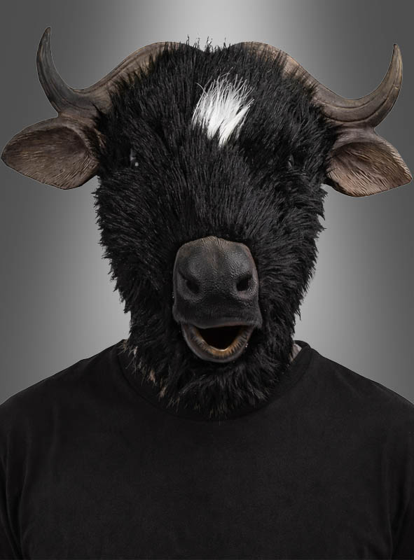 Artikelbild 1 des Artikels “ “