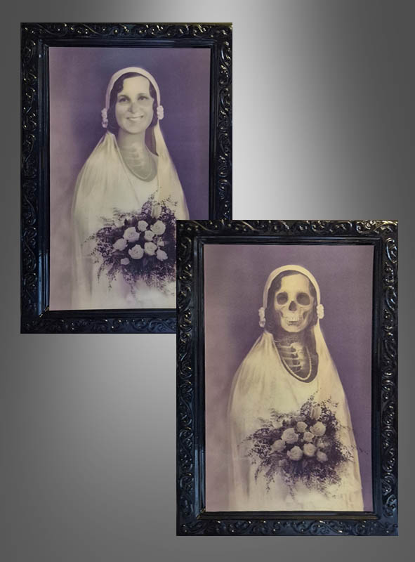 Artikelbild 1 des Artikels “ “