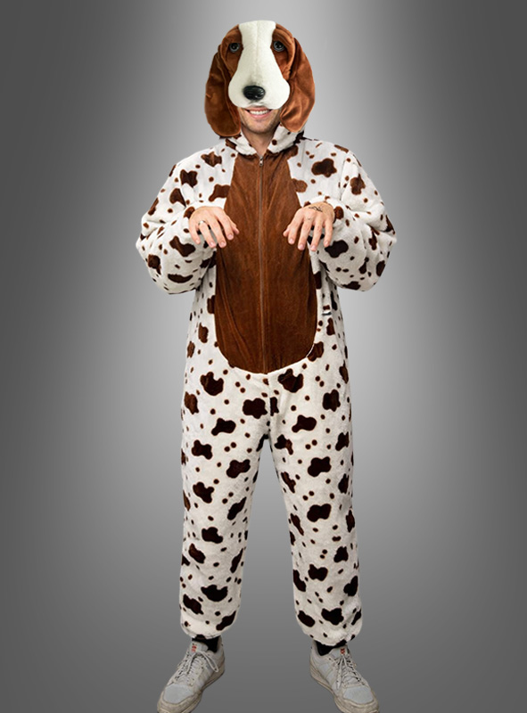 Artikelbild 1 des Artikels “ “