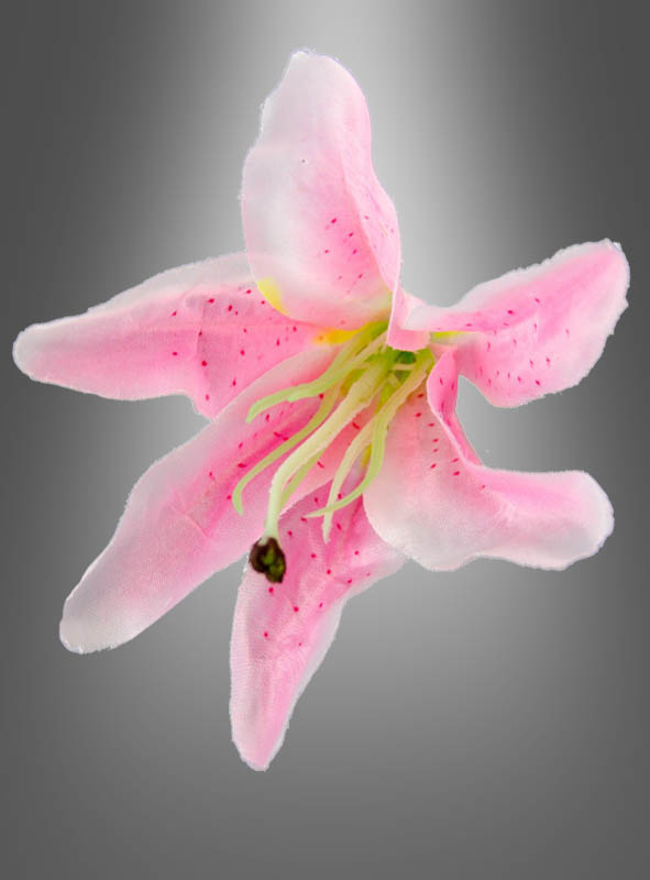 Product image 1 of the product “ ”