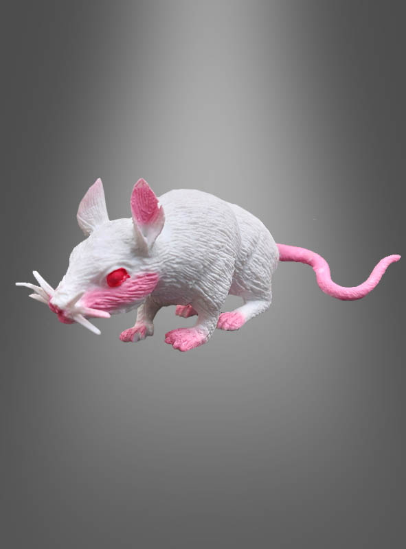 Artikelbild 1 des Artikels “Deko Maus Halloween “