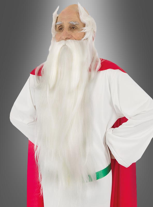 Product image 1 of the product “Panoramix Druid Wig and Beard ”