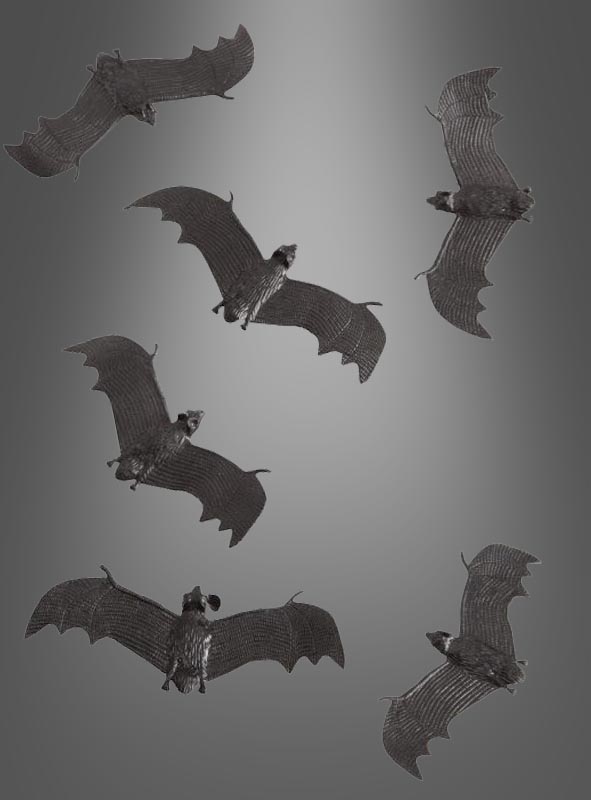 Artikelbild 1 des Artikels “ “