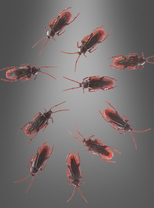 Product image 1 of the product “Bag of Roaches 10 pcs ”