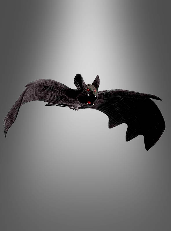 Artikelbild 1 des Artikels “ “