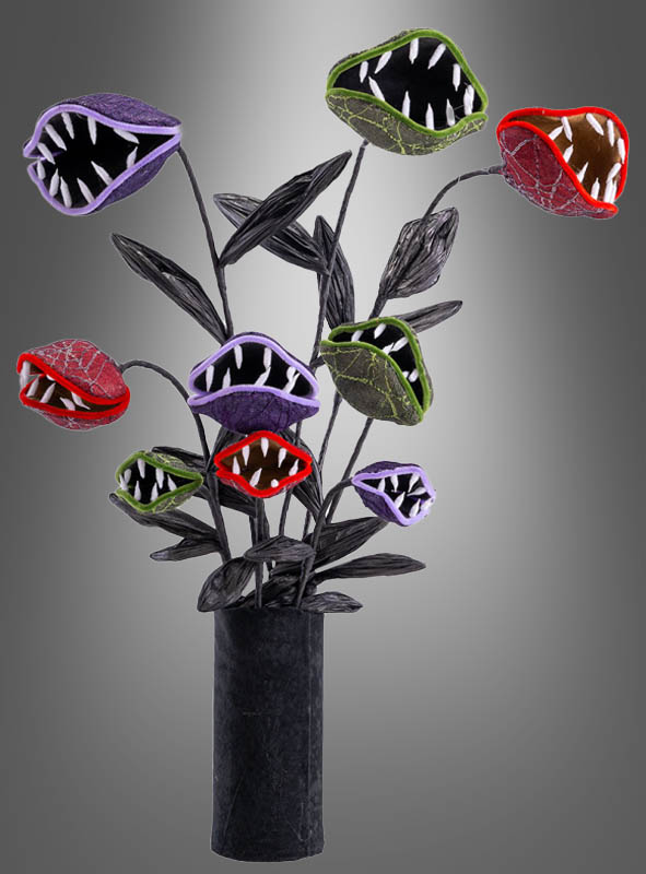 Artikelbild 1 des Artikels “ “