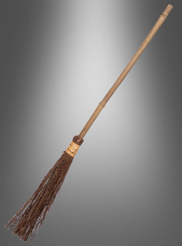 Artikelbild 1 des Artikels “ “