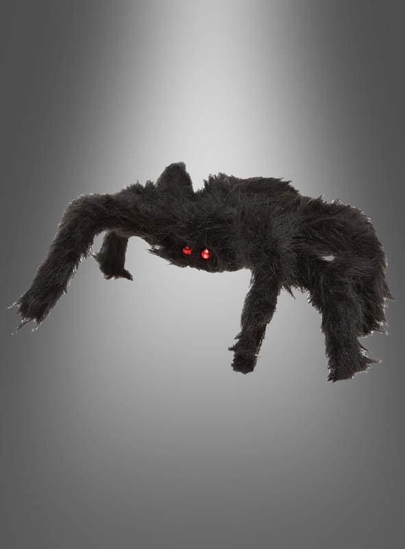 Artikelbild 1 des Artikels “ “