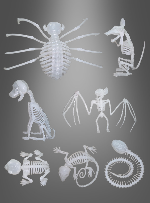 Artikelbild 1 des Artikels “Skeletttiere Halloween nachtleuchtend “
