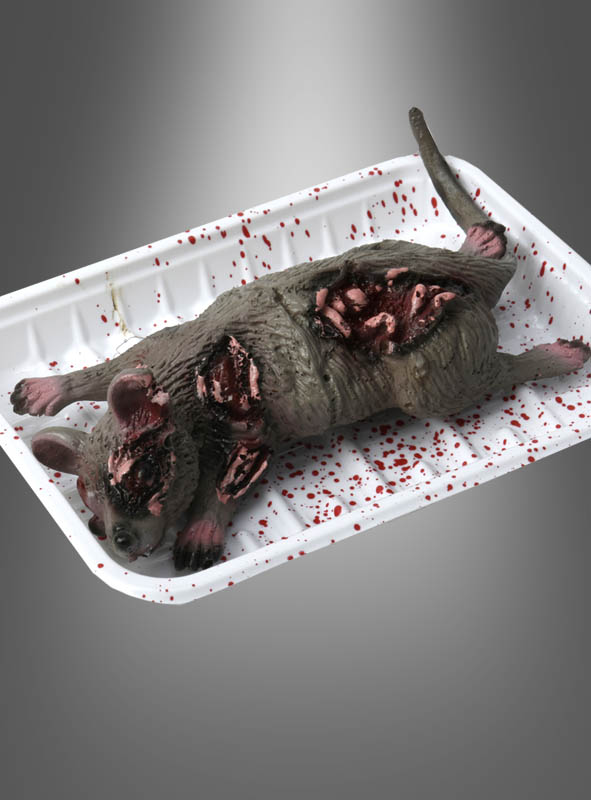 Artikelbild 1 des Artikels “ “