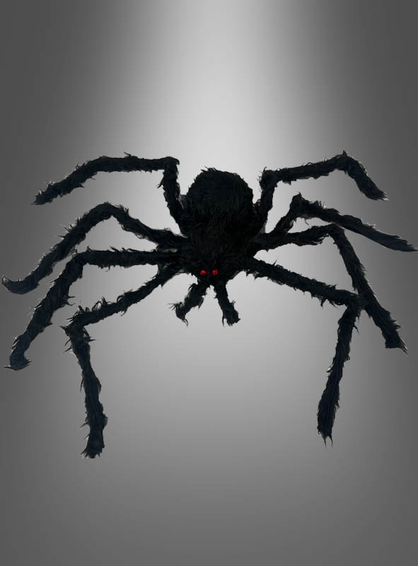 Artikelbild 1 des Artikels “ “