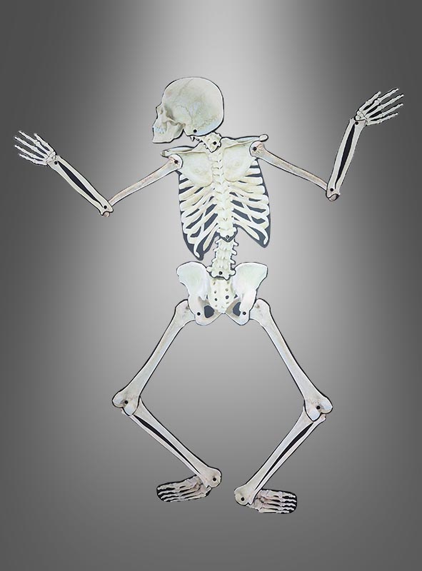 Product image 1 of the product “Skeleton Wall Decoration 158cm ”
