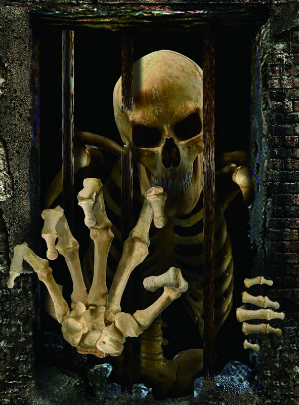 Product image 1 of the product “Trapped Skeleton Halloween Curtain 80x120cm ”