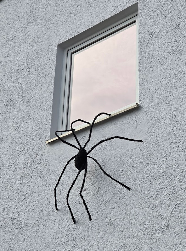 Artikelbild 1 des Artikels “Schwarze Riesenspinne 150cm mit LED Augen “