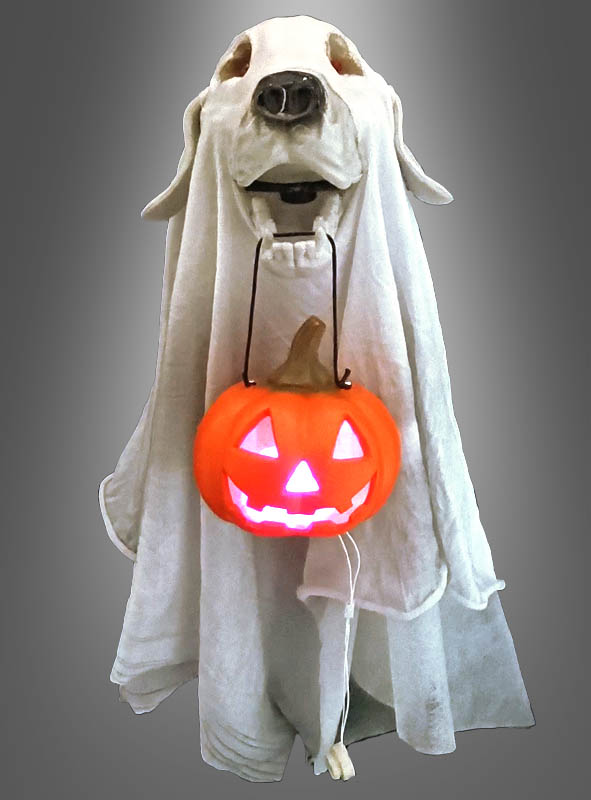 Product image 1 of the product “Ghost Dog 55cm with LED Light ”