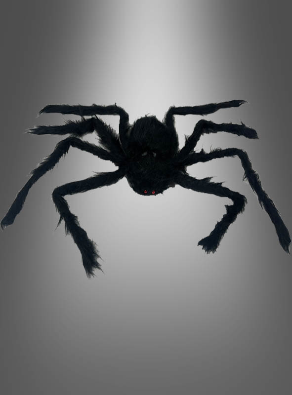 Artikelbild 1 des Artikels “ “