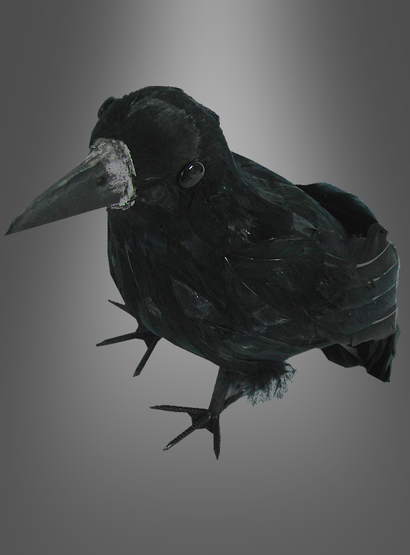 Product image 1 of the product “Raven Halloween Decoration ”