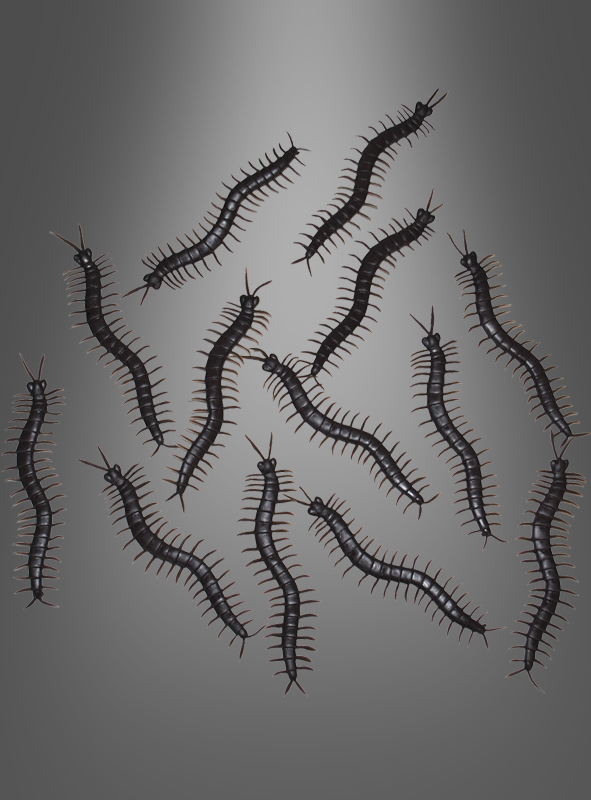 Product image 1 of the product “Centipede Decoration Halloween ”