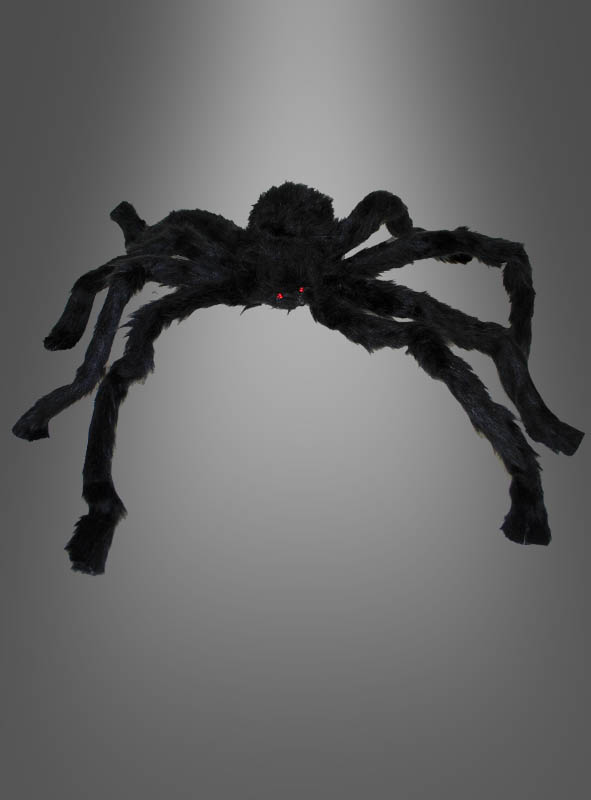 Artikelbild 1 des Artikels “ “