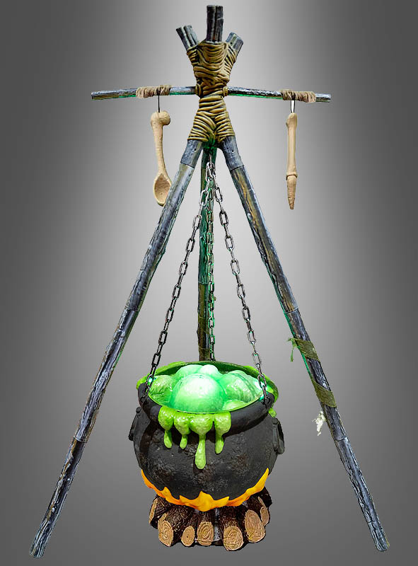 Artikelbild 1 des Artikels “ “