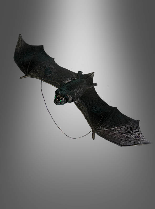 Artikelbild 1 des Artikels “ “