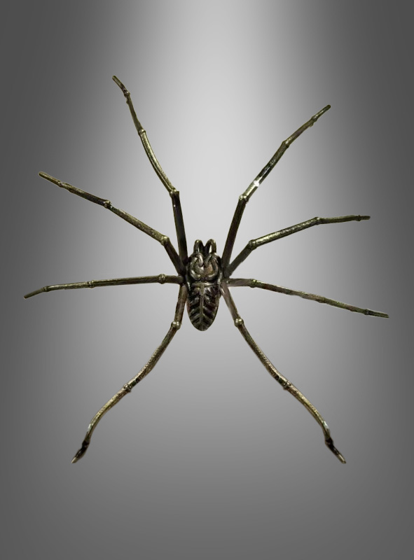 Product image 2 of the product “One Griant Spider Earring ”