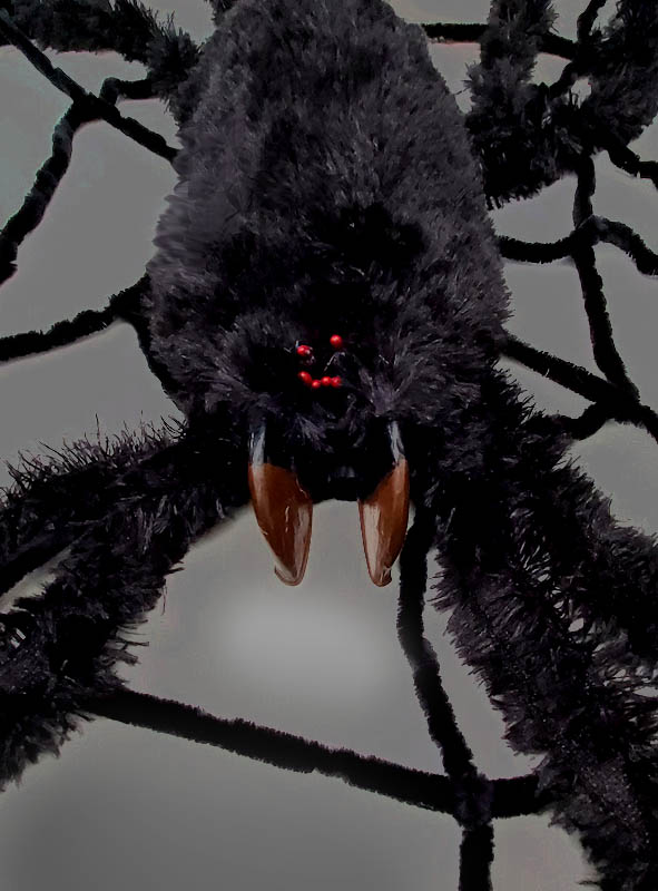 Artikelbild 2 des Artikels “Gigantisches Spinnennetz 240cm mit Spinne “