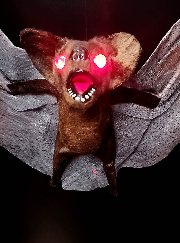 Artikelbild 2 des Artikels “Riesige Fledermaus 70 cm mit leuchtenden Augen “
