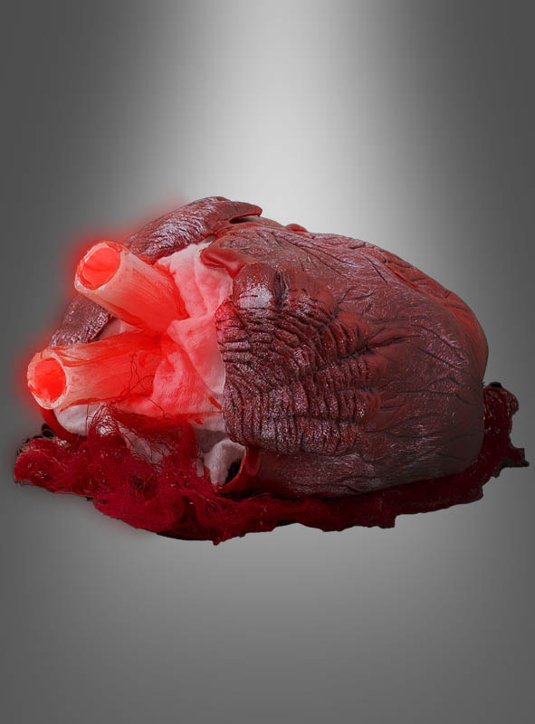 Artikelbild 2 des Artikels “ “