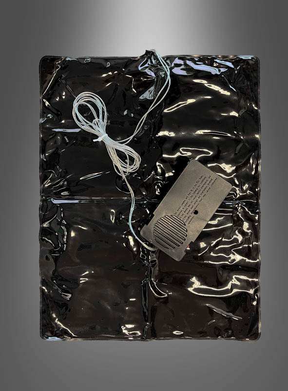 Artikelbild 2 des Artikels “ “