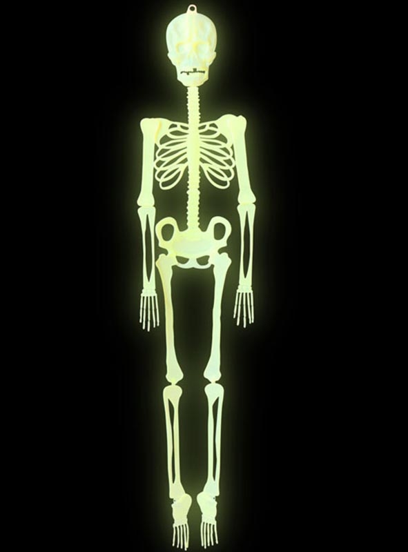 Artikelbild 2 des Artikels “Nachtleuchtendes Skelett 150cm Deko “