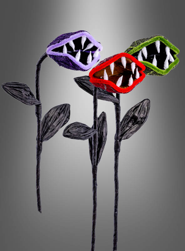 Artikelbild 2 des Artikels “ “