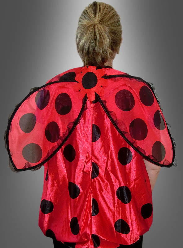 Artikelbild 3 des Artikels “Darling Marienkäfer “