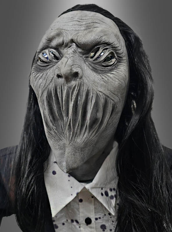 Artikelbild 3 des Artikels “ “